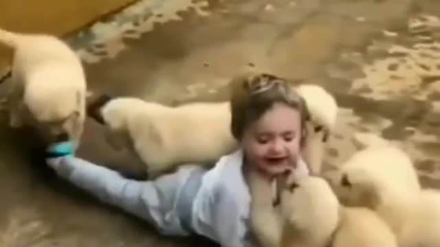 Little kid playing with cute puppies