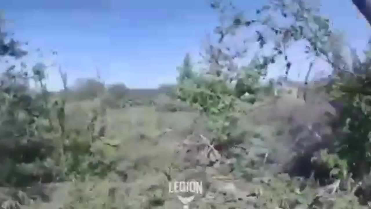 Ukrainian-Foreign Legion Battling Russians Outside Chasiv Yar(Must-See)