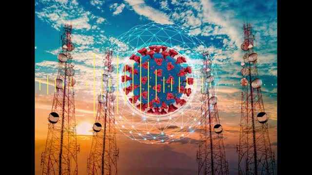 ¿Que son realmente los virus?