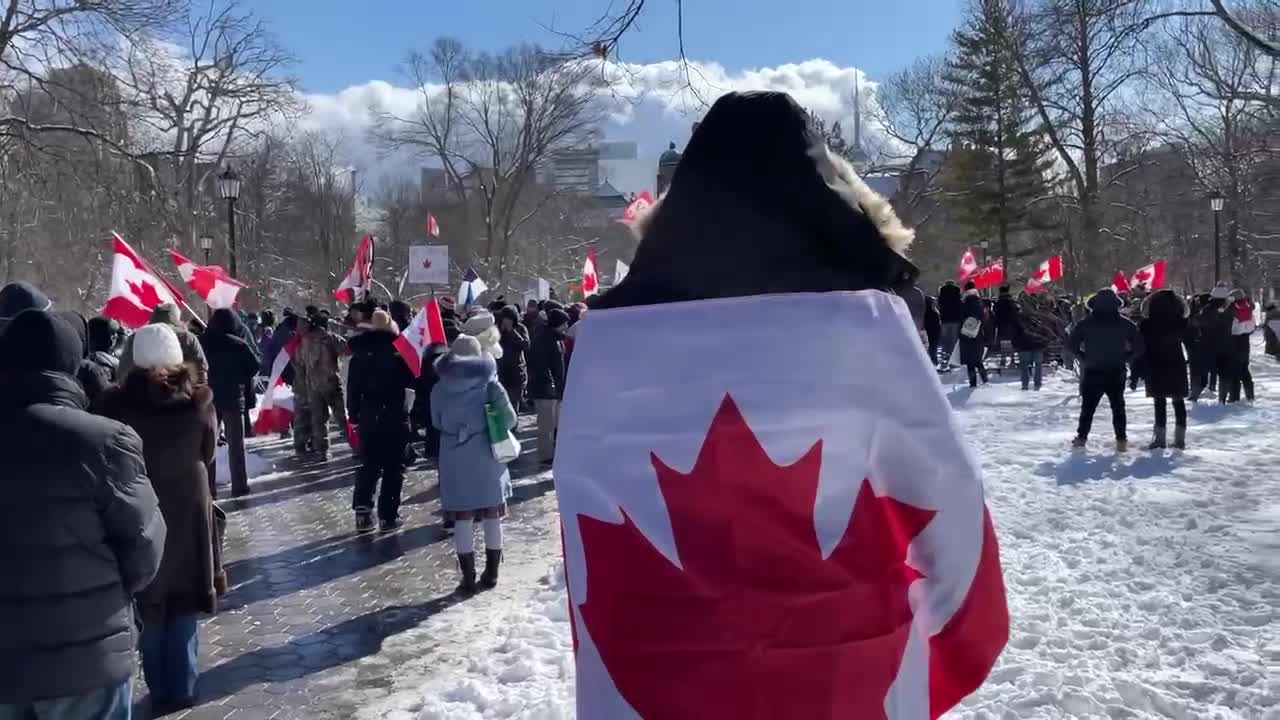 Out For Freedom