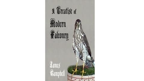 A Treatise of Modern Falconry #06