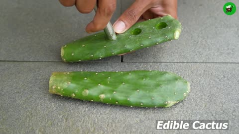🌿Grow Lemon Tree from Cutting Faster with These Pro Tips!