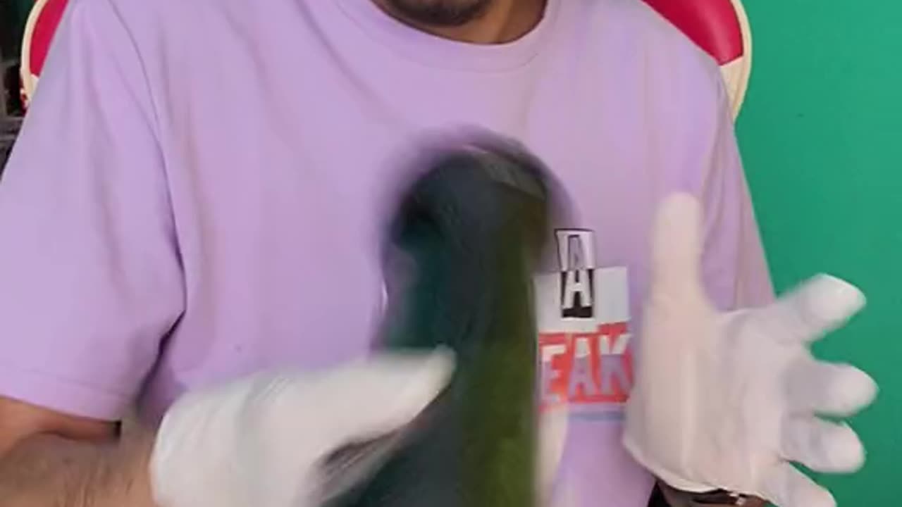 Gul ny kaha the best 👌 👍 in the garden withouGrowing and