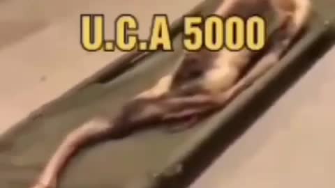 Pentagon ujawnienie UFO