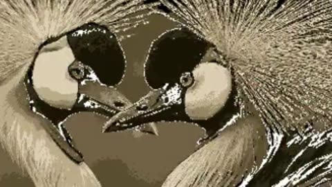 Birds in Acrylics Simplified Techniques