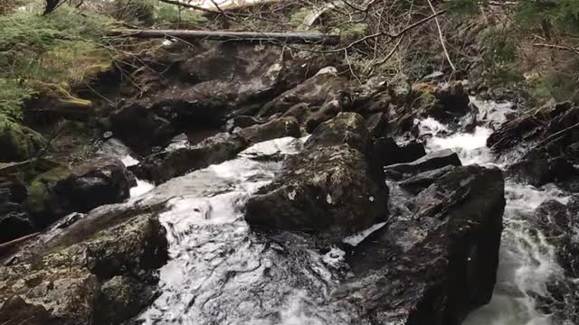 Thimbleberry Trail End