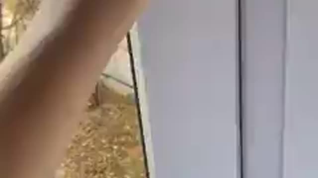 It's nice to have a visitor every day