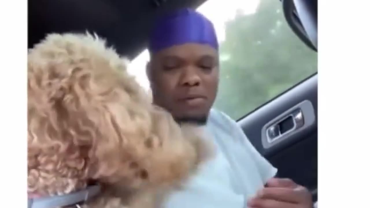 Funnyanimal#dog#puppy#petanimals#animals