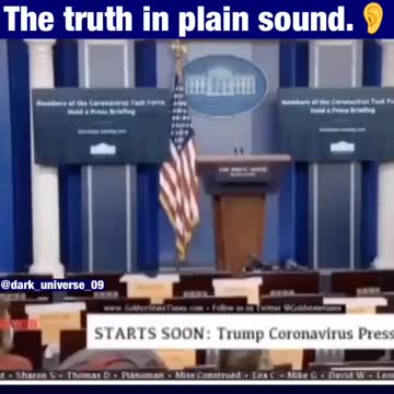 The Truth in Plain Sound