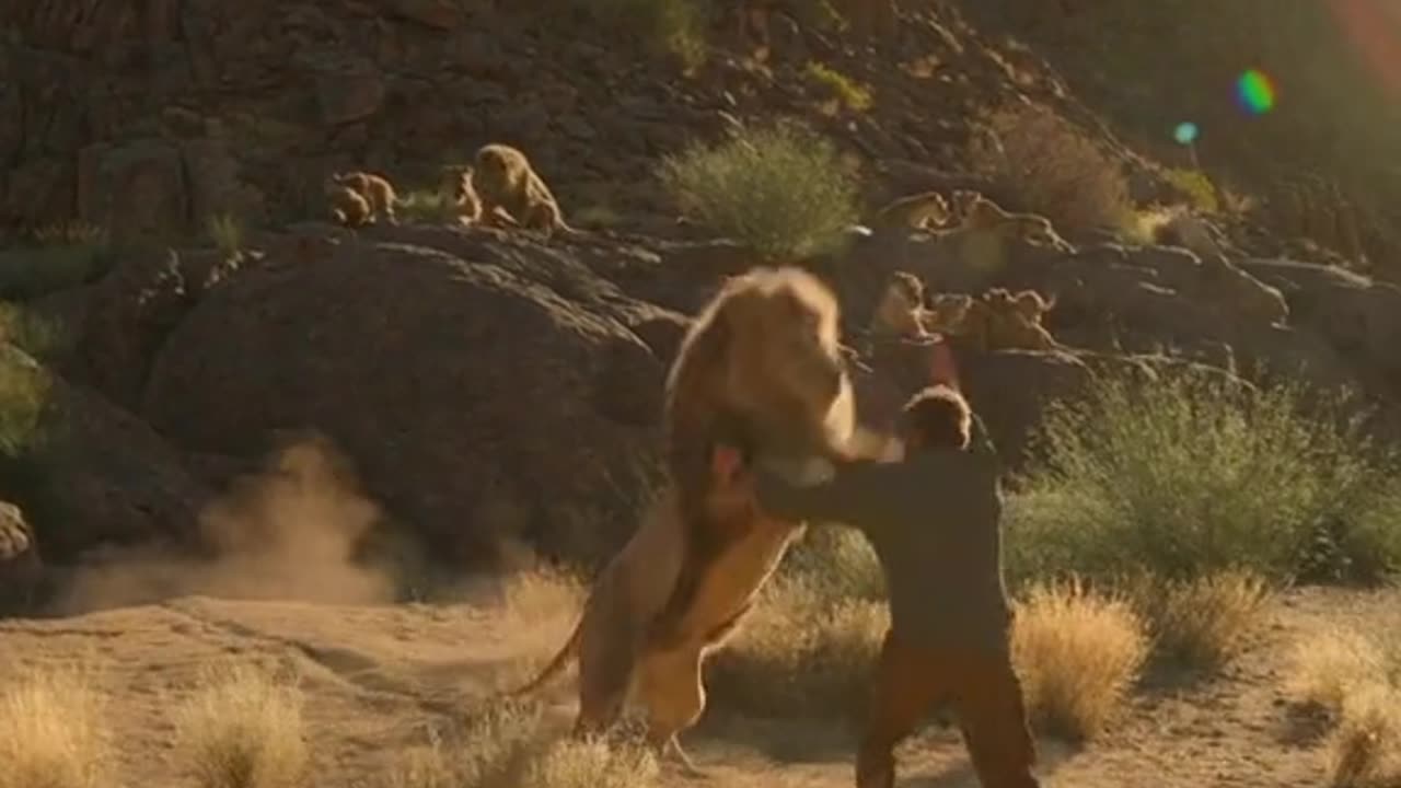 Man vs lion