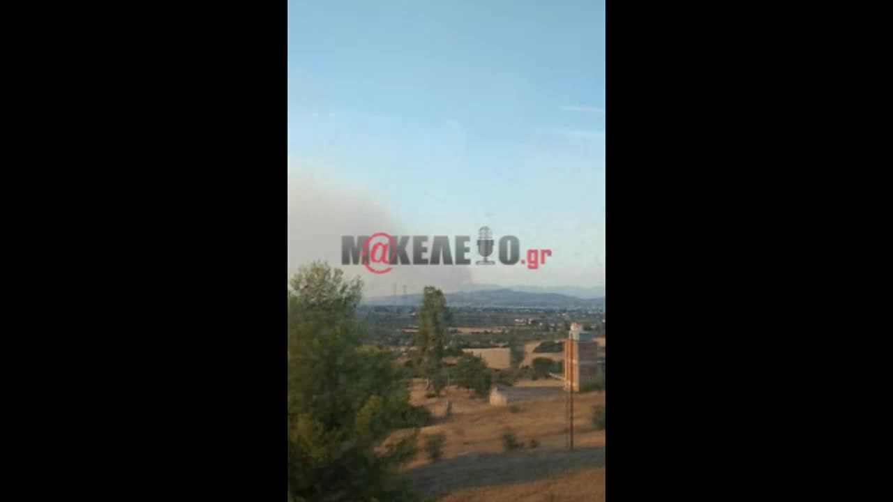 Φωτιά στα Ψαχνά Ευβοίας 3