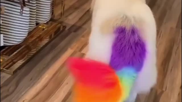 Do you like its tail?