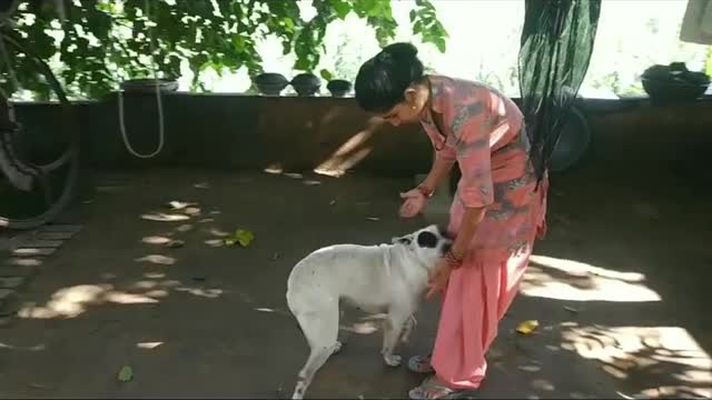 Funny Dog Video With indian cute Girl playing