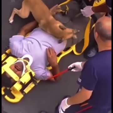 SAD MOMENT WHEN DOG WON'T LET HIS HUMAN GO