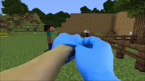 IRL minecraft Animations