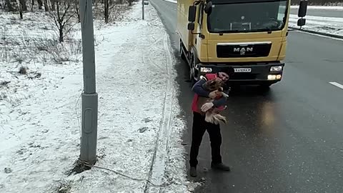 Dog rejoices as it is rescued by a compassionate truck driver