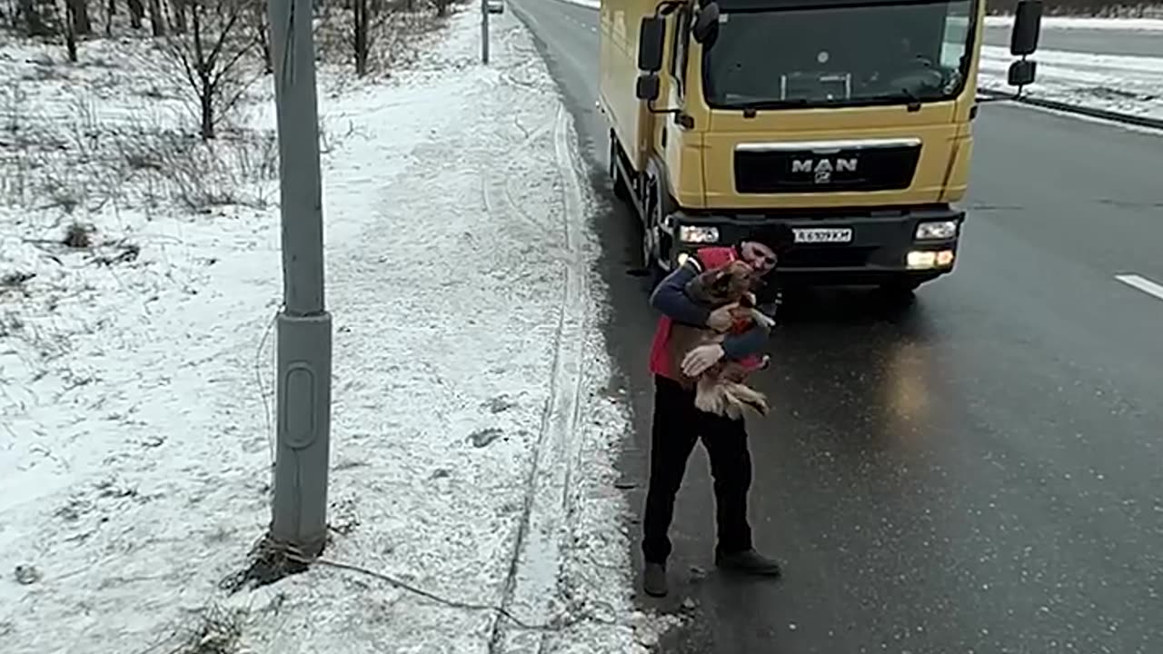 Dog rejoices as it is rescued by a compassionate truck driver