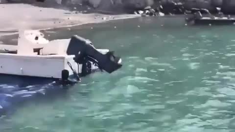 This is a beautiful and charming water-dwelling species