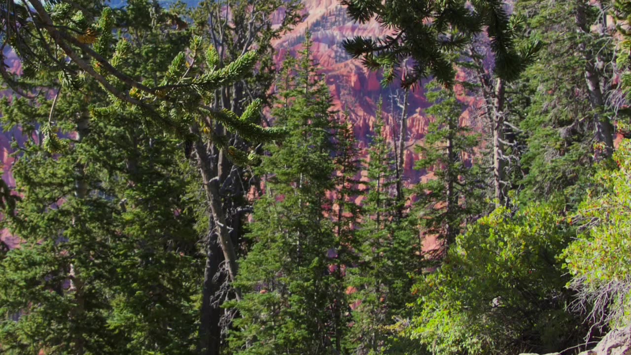 Cedar Breaks Slides Show 2024