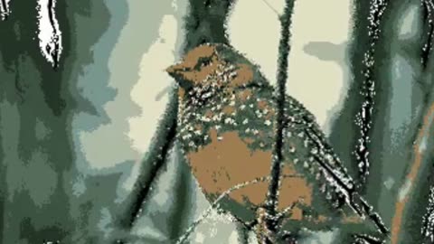 Easy Bird Portraits Step-by-Step Guide