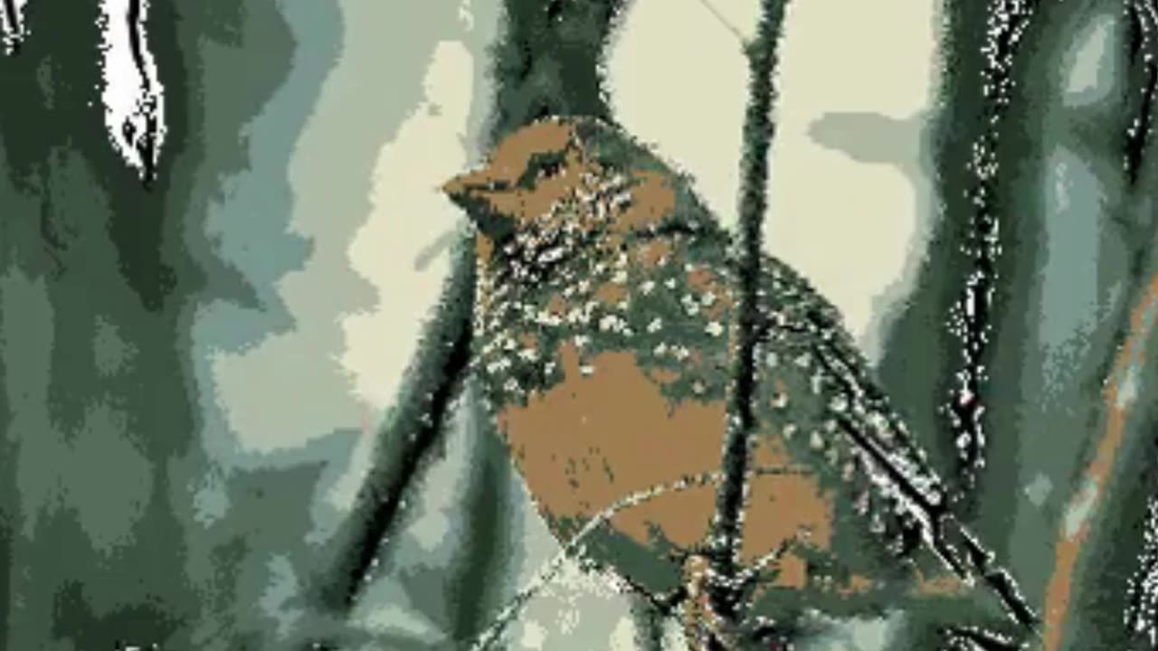 Easy Bird Portraits Step-by-Step Guide