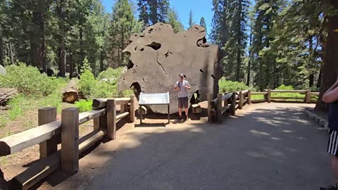 Extremely hot car camping morning in Sequoia