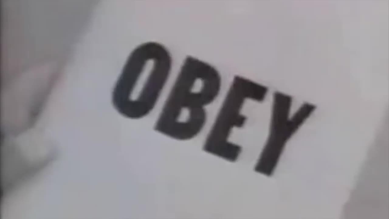 they live trailer