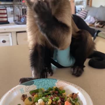 Start your Day With Gaitlyn Rae!!!Happy Saturday!!!! #morningmotivation #gaitlynrae #RiseUp #shorts