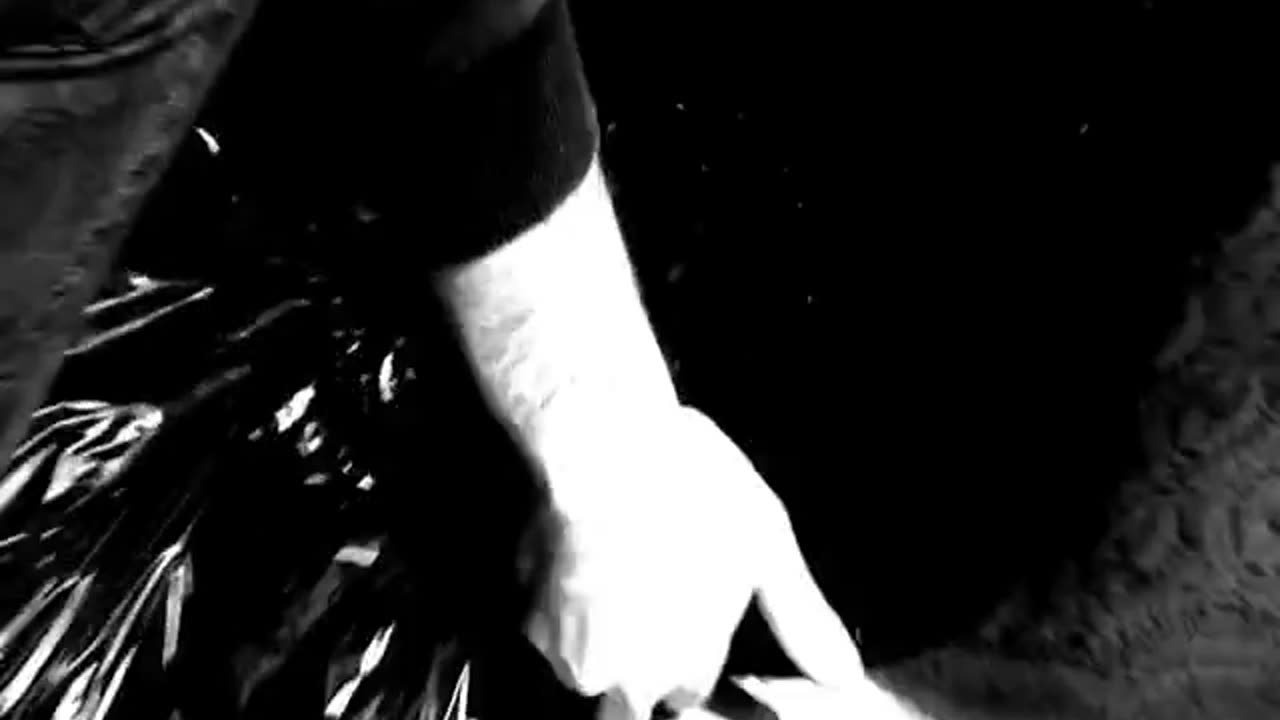 Vtraje - Stealing Walls (2010)