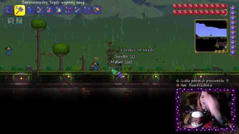 terraria 06