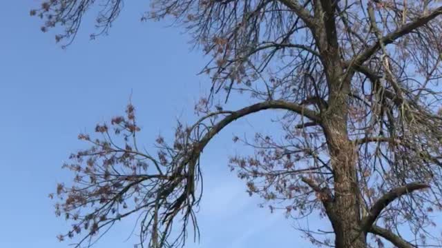 Nature in the village by the river