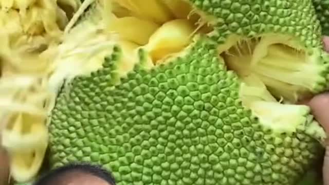 jackfruit