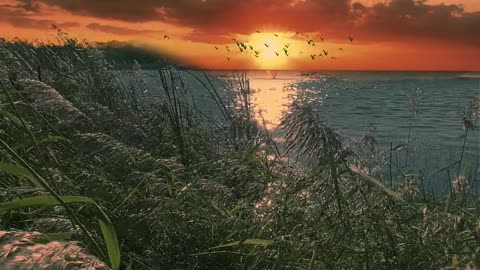 The wind blows the sunset clouds