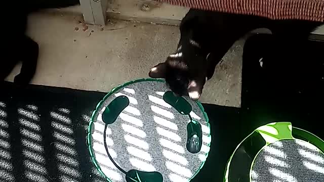 Coco Roo2