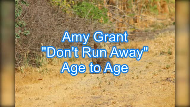 Amy Grant - Don't Run Away #415