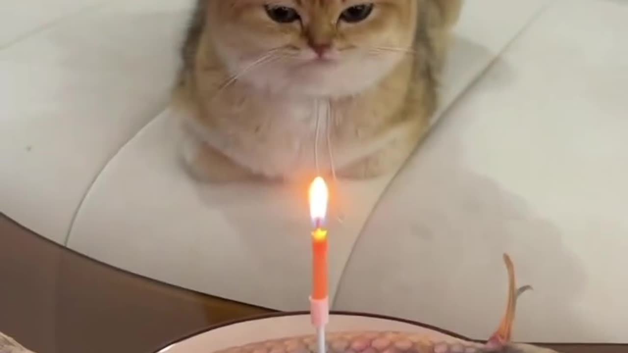Wow may favorite birthday cake