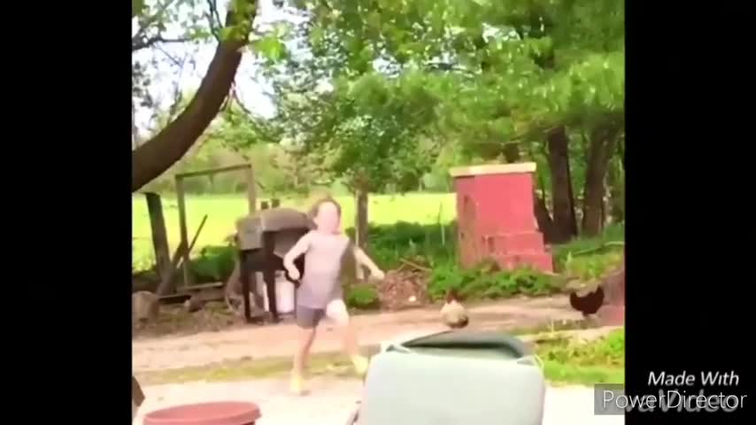 CHASED BY CHICKEN FUNNY