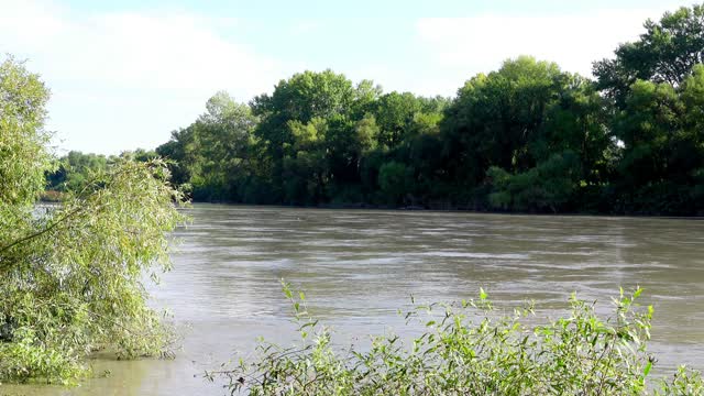 THE SOUND OF WATER AND BIRDSONG SPRING FOREST Sounds of nature - listen online In the