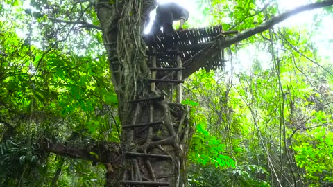 100 Days Survival Challenge - Survival Alone In The Rainforest