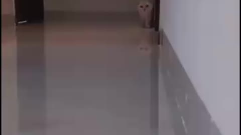 Horror movie 18
