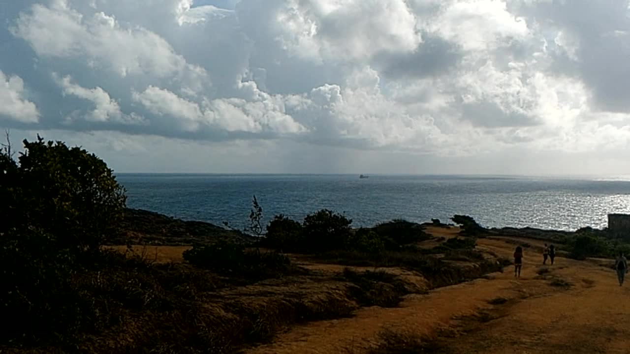 Landscape of the Brazilian coast - (Pernambuco)