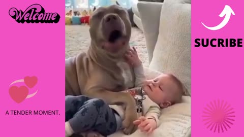 THIS BABY AND THE DOG ARE CUTE FRIENDS