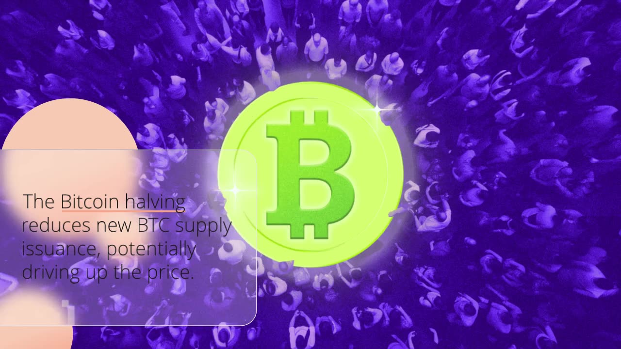 SpotOnChain Unveils Impact of Bitcoin Halving on Price and Sentiment