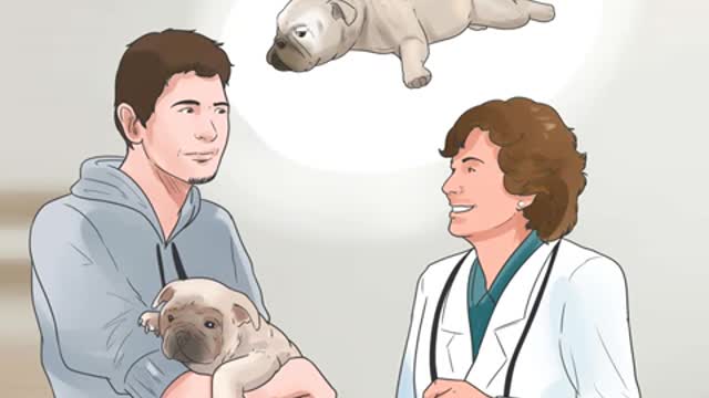 WARING MUST WATCH THE KILLER DISEASES OF DOGS