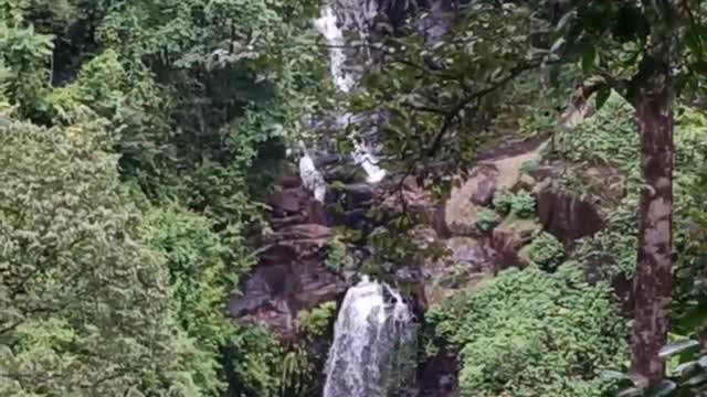 Mainapi Waterfall Netravali Goa