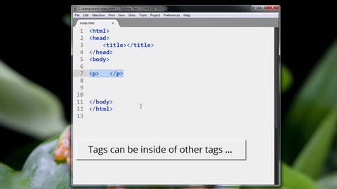 HTML5_PRO_ch2-l2-tag-basics-01-720 (720p)