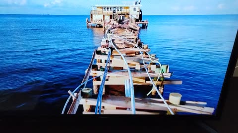 Rod n Reel pier Anna Maria Island Florida
