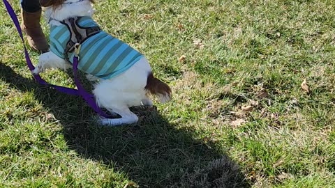 My mommy is a squeak