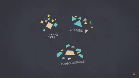 Hiểu đúng về lá gan của chúng ta