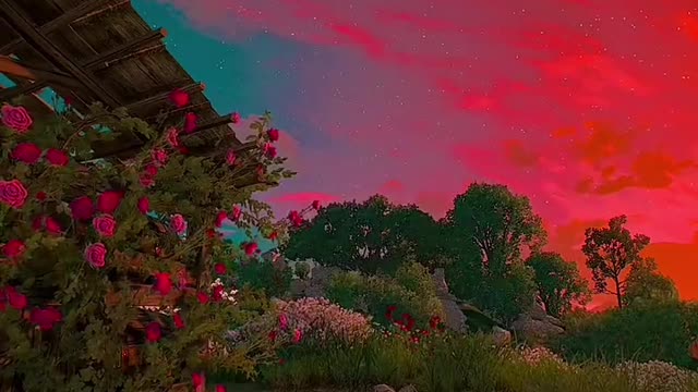 Which color do you think clouds and flowers are more beautiful